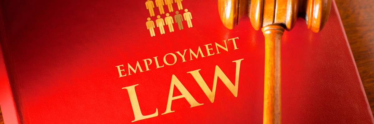 Understanding Canadian Employment Law Your Rights as an Employee